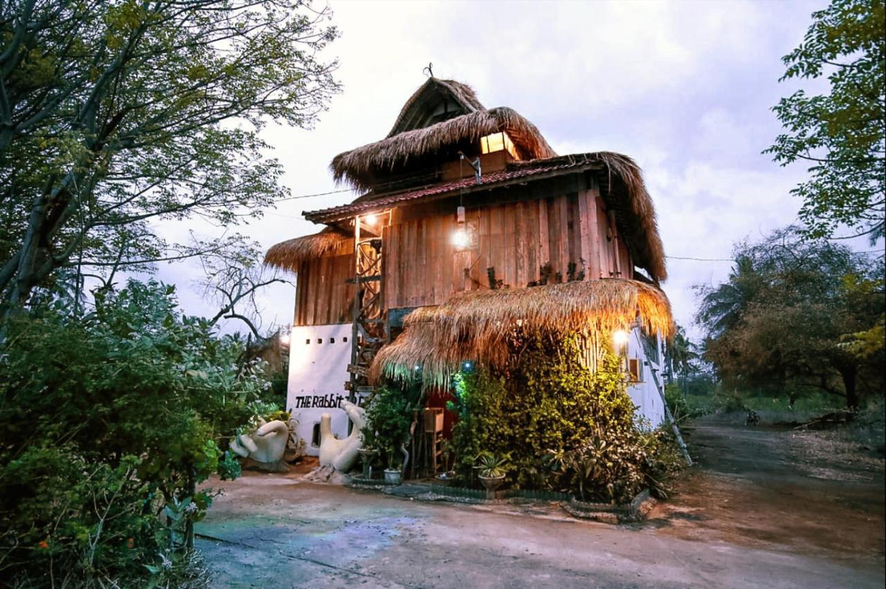 The Rabbit Tree Hostel Gili Meno Exterior foto