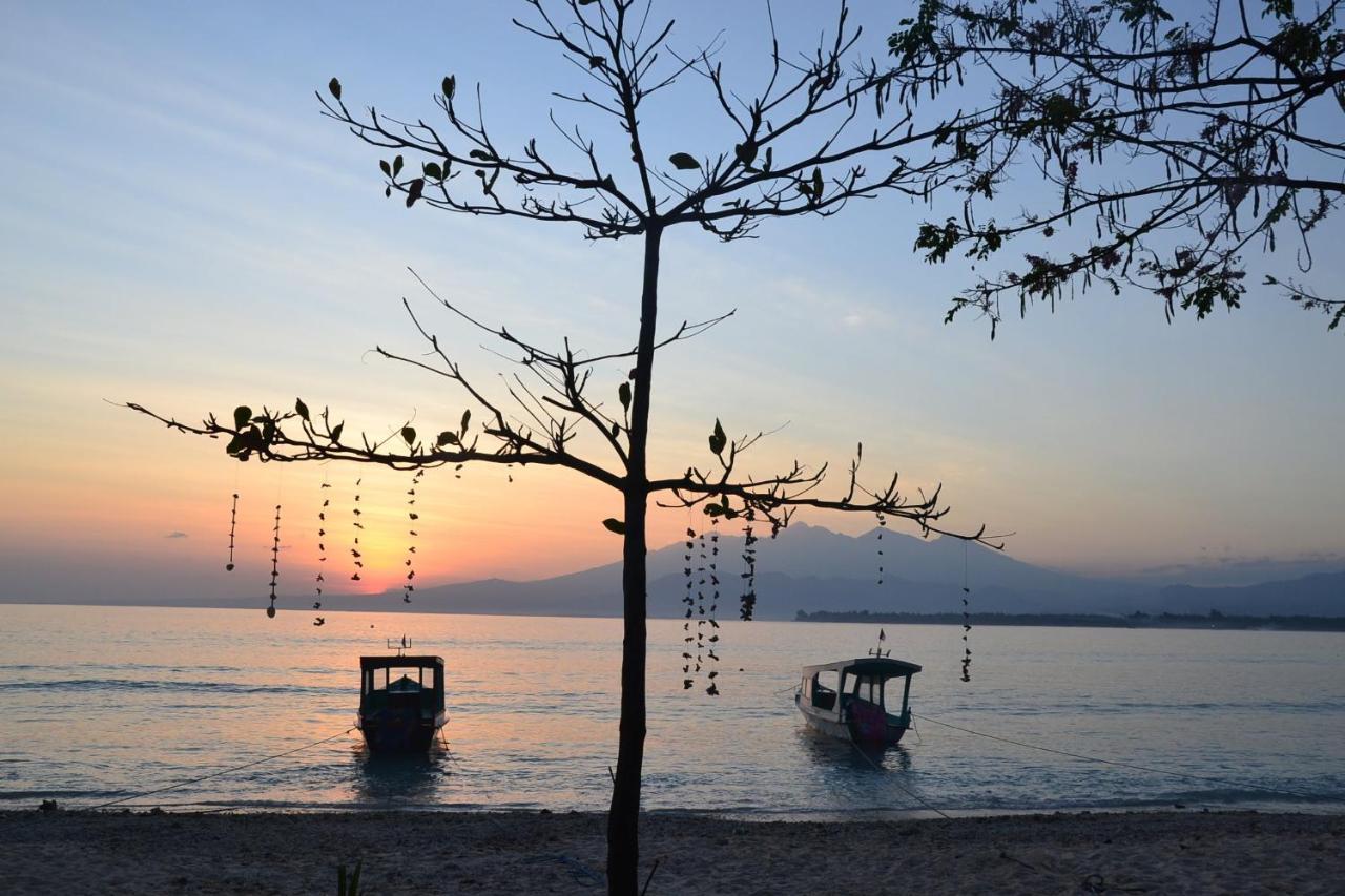 The Rabbit Tree Hostel Gili Meno Exterior foto