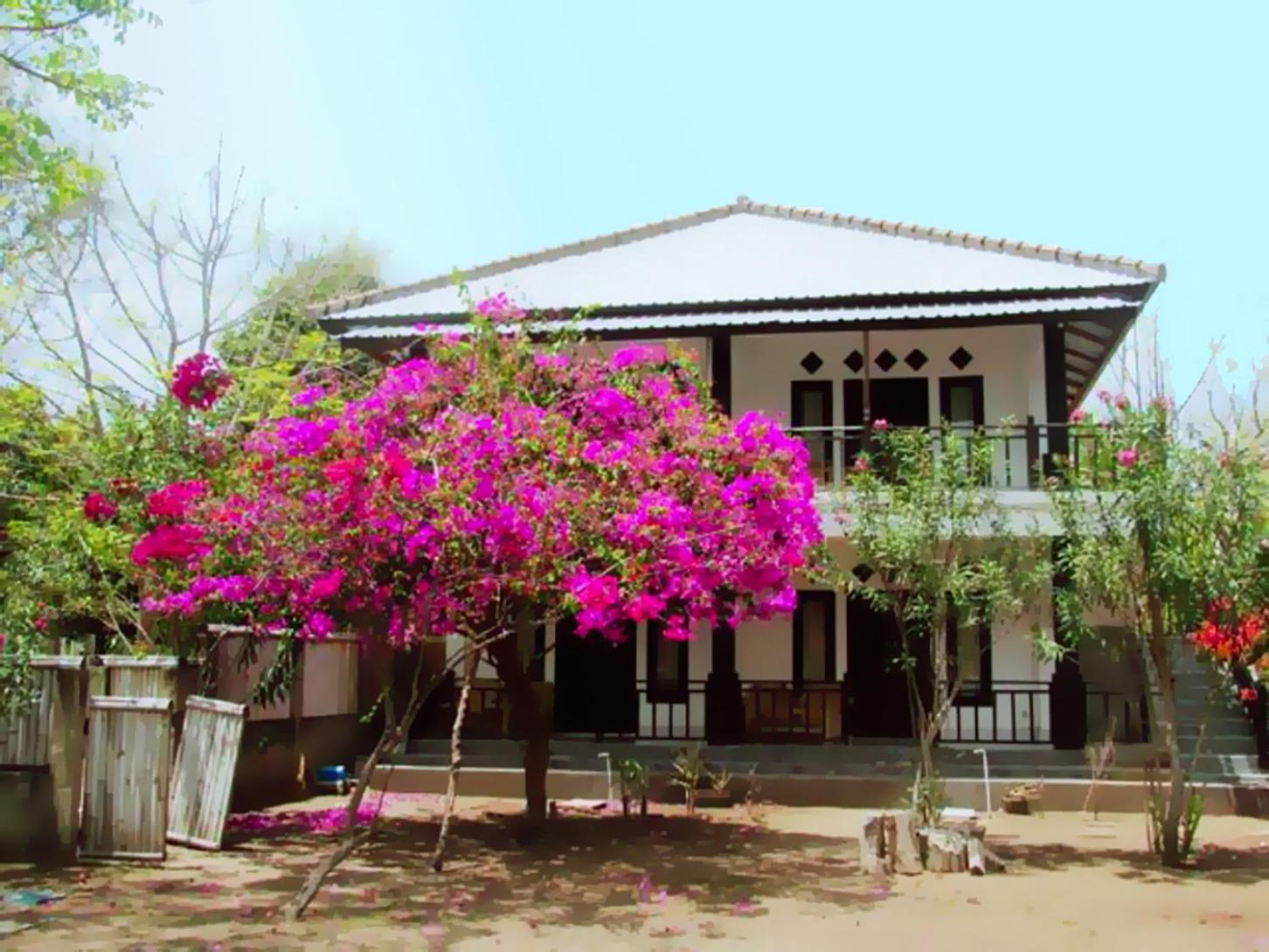 The Rabbit Tree Hostel Gili Meno Exterior foto